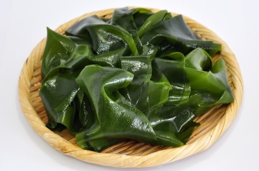 腸内環境をよくする食品　海藻