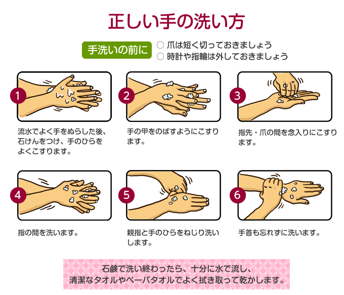 正しい手の洗い方