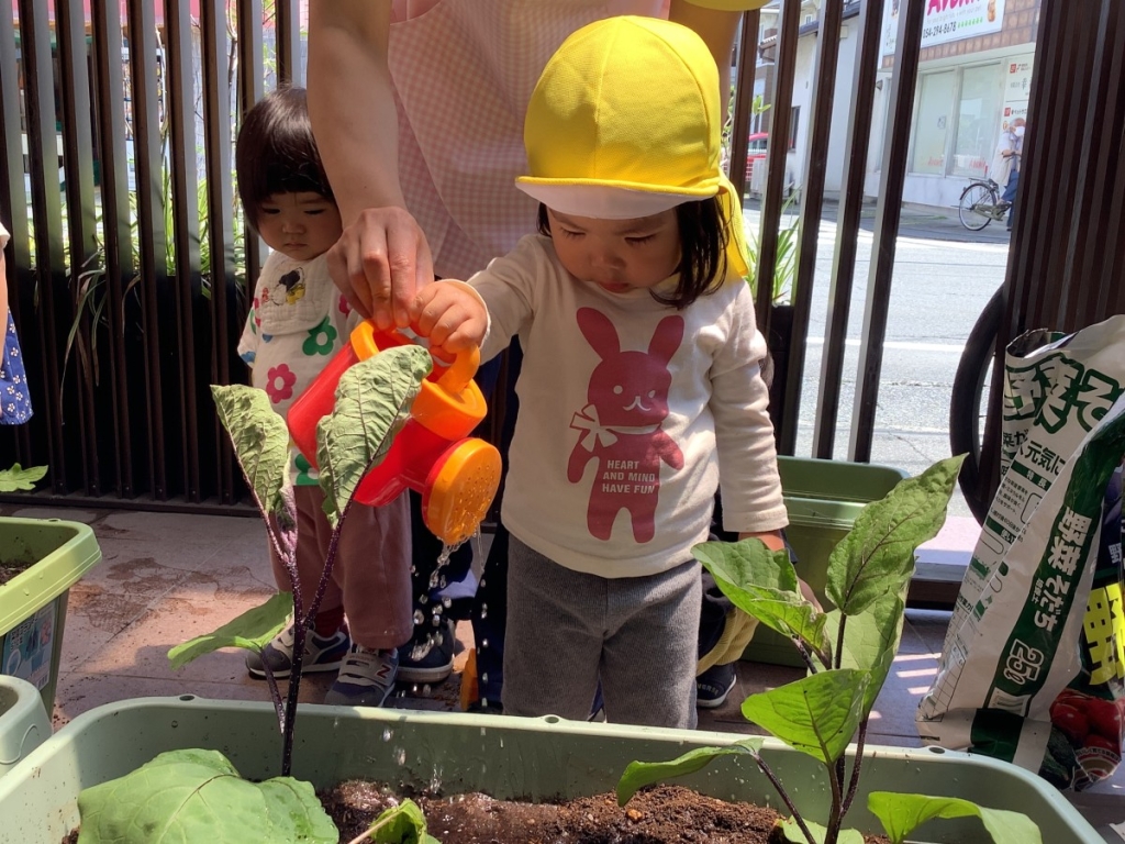 野菜の苗植えの様子