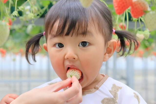 いちごを食べる子ども