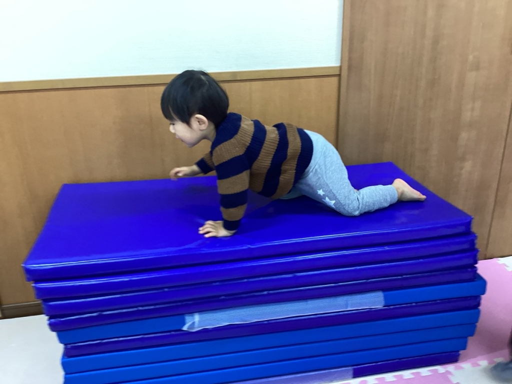 1月運動プログラムの様子(いるか・10段マット上り下り)