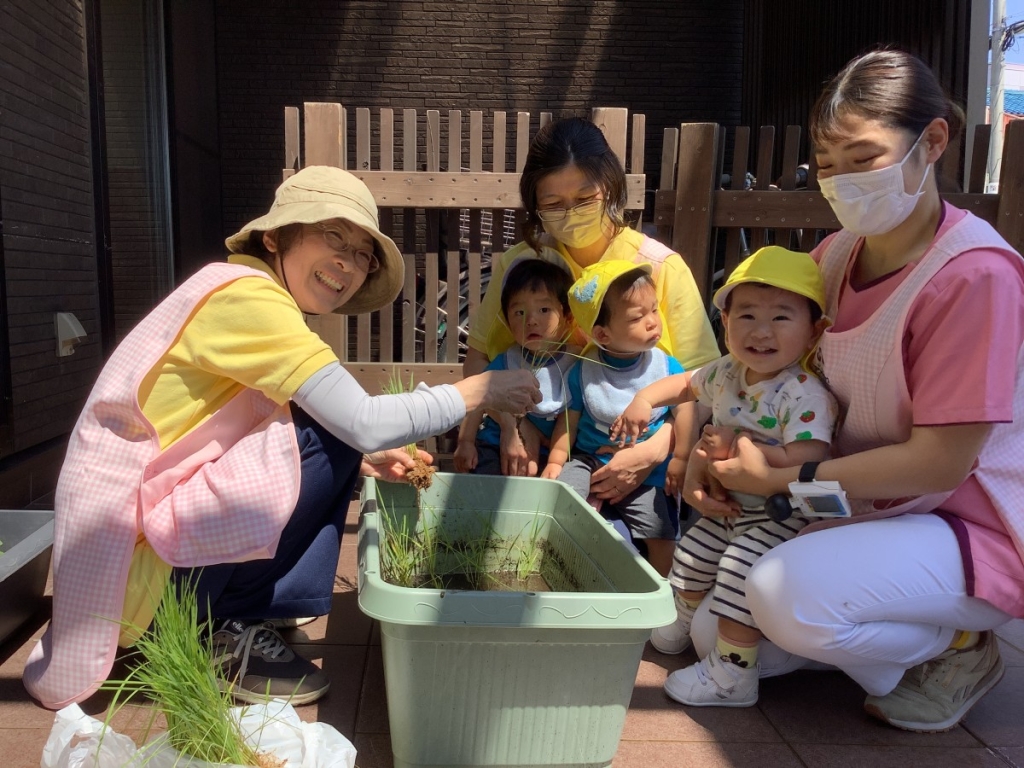 0歳児田植えの様子
