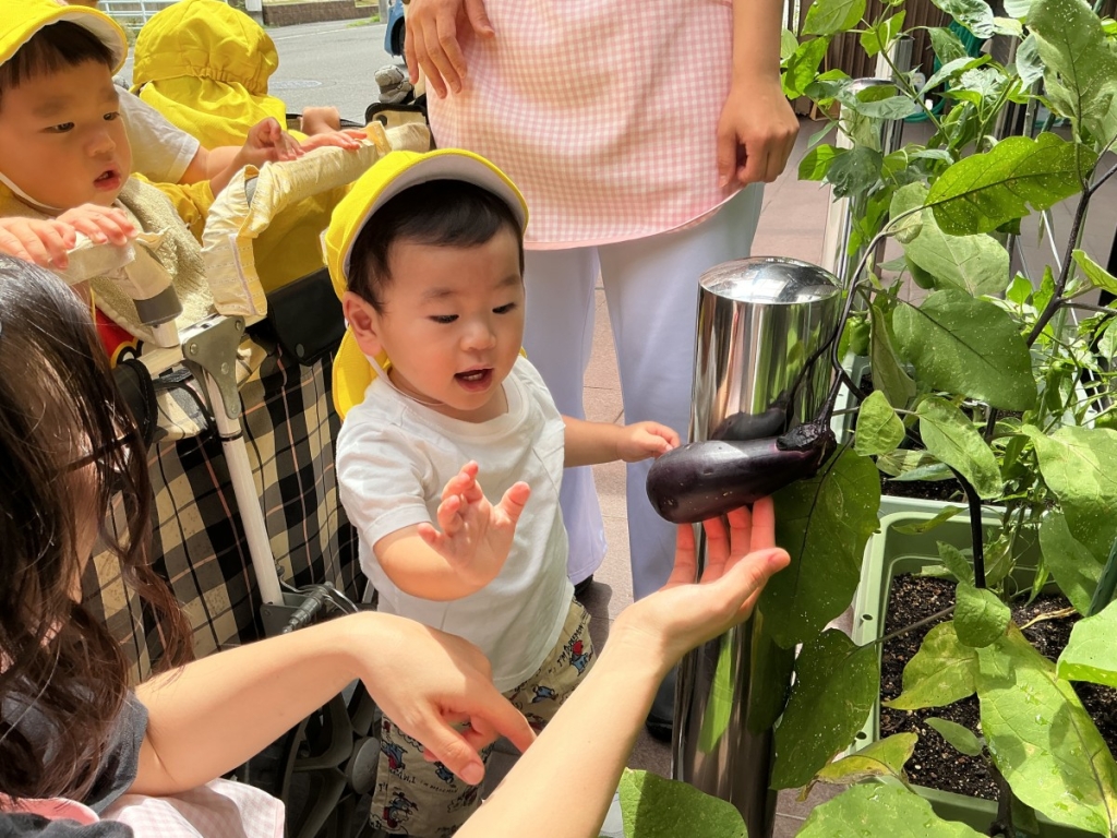 大きな野菜に驚く園児