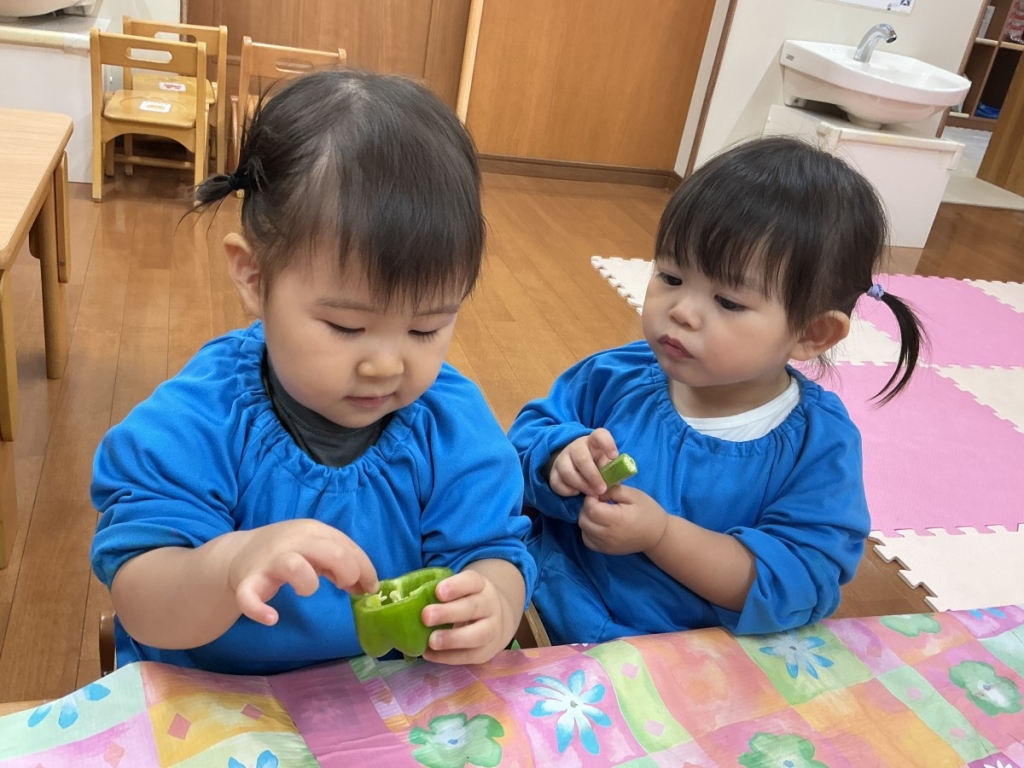 野菜を観察する様子