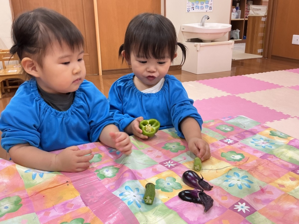 野菜
