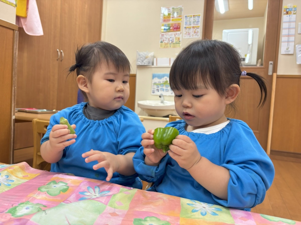 野菜を手に取り観察する様子