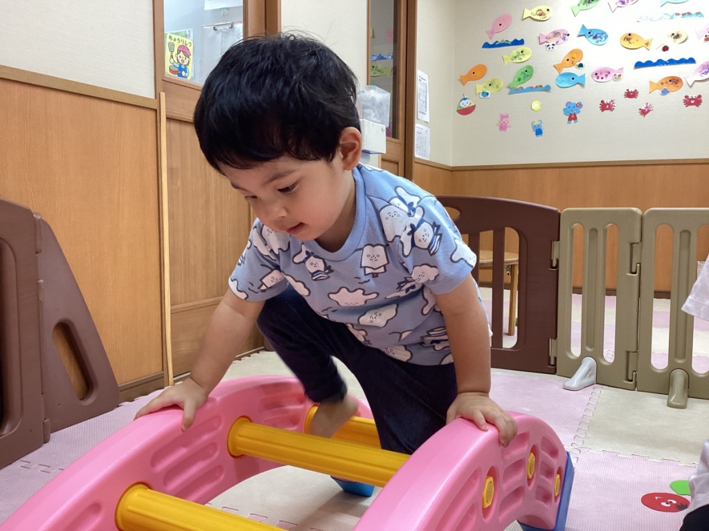 はしごを登る園児