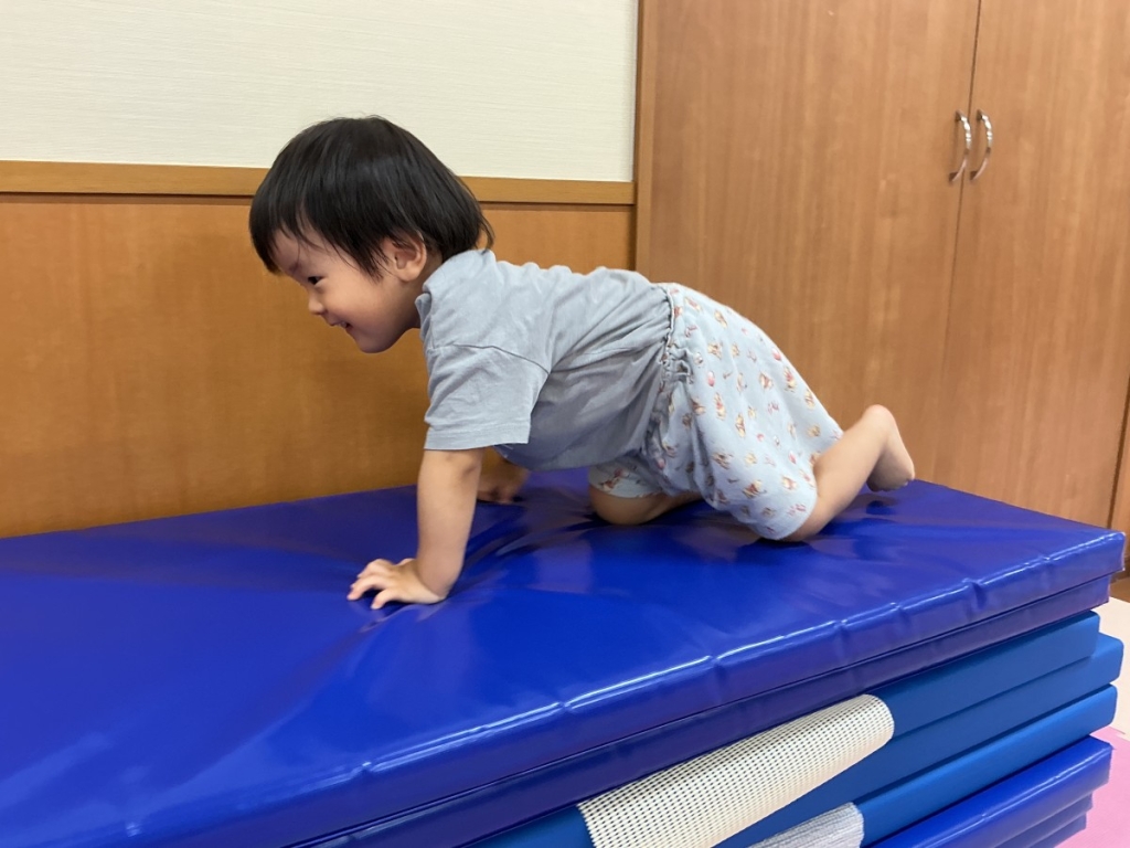 8月運動プログラムの様子(いるか組・マット上り下り)