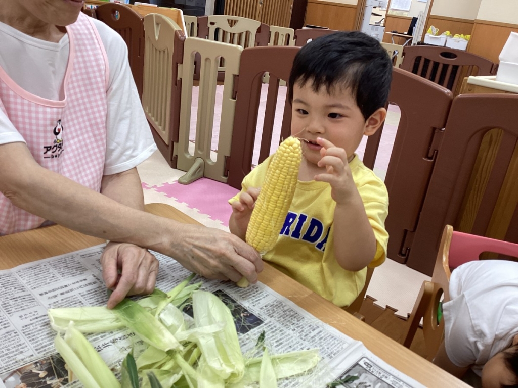 皮をむいたとうもろこしを触る園児