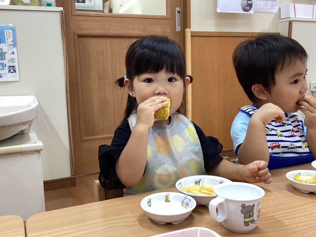 とうもろこしを食べる園児