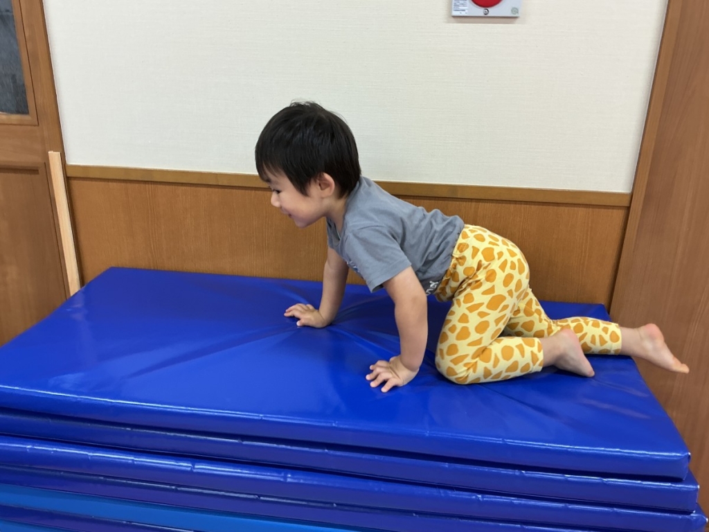 9月運動プログラムの様子(くじら・12段マット上り下り)