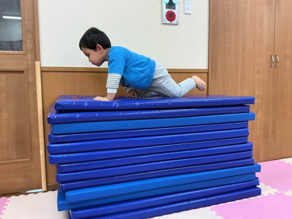 10月運動プログラムの様子(くじら・12段マット上り下り)